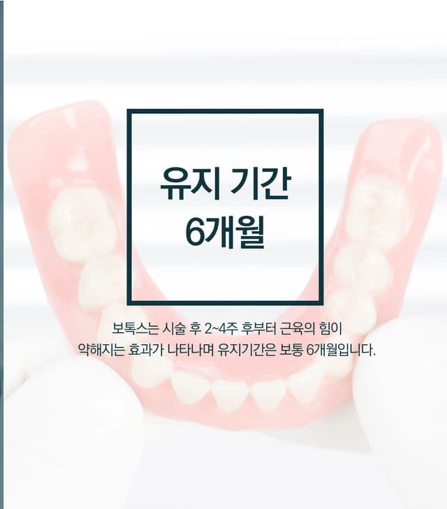 유지 기간 6개월